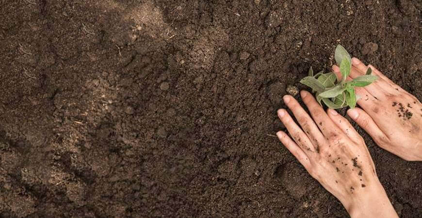 Najplodnija zemlja u Srbiji: gde se nalazi plodno poljoprivredno zemljište?